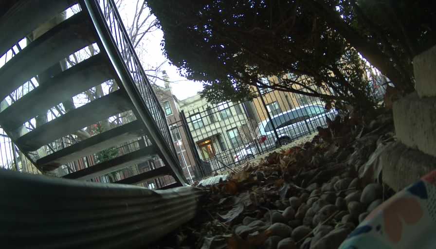 Reolink Camera Two_01_Reolink Home Hub One_20250130071138.jpg